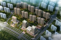 岳阳新辉国际城